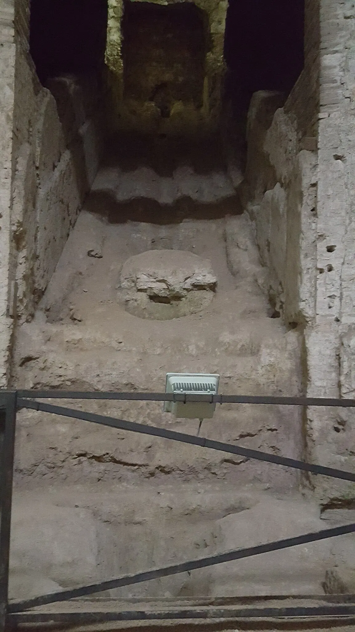 Domus Aurea
