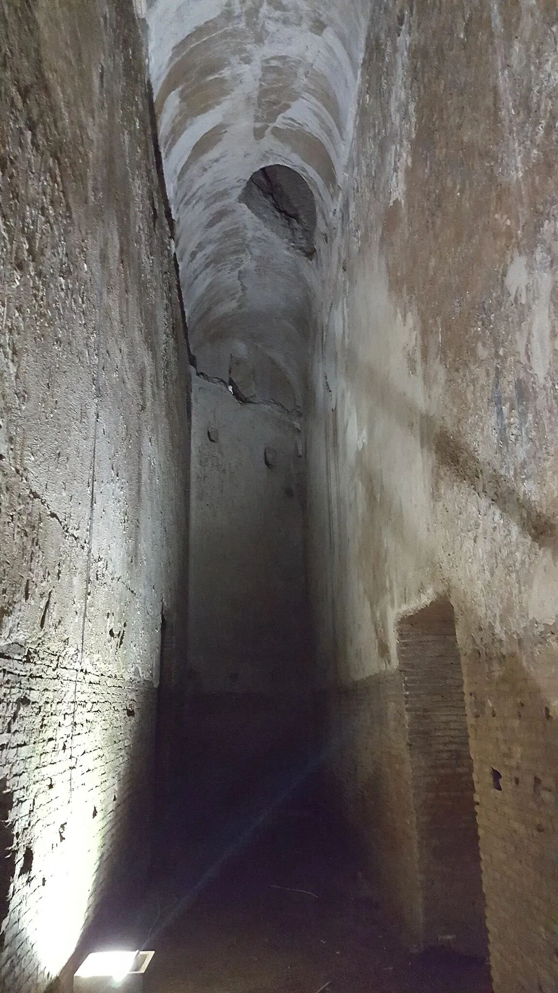 Domus Aurea