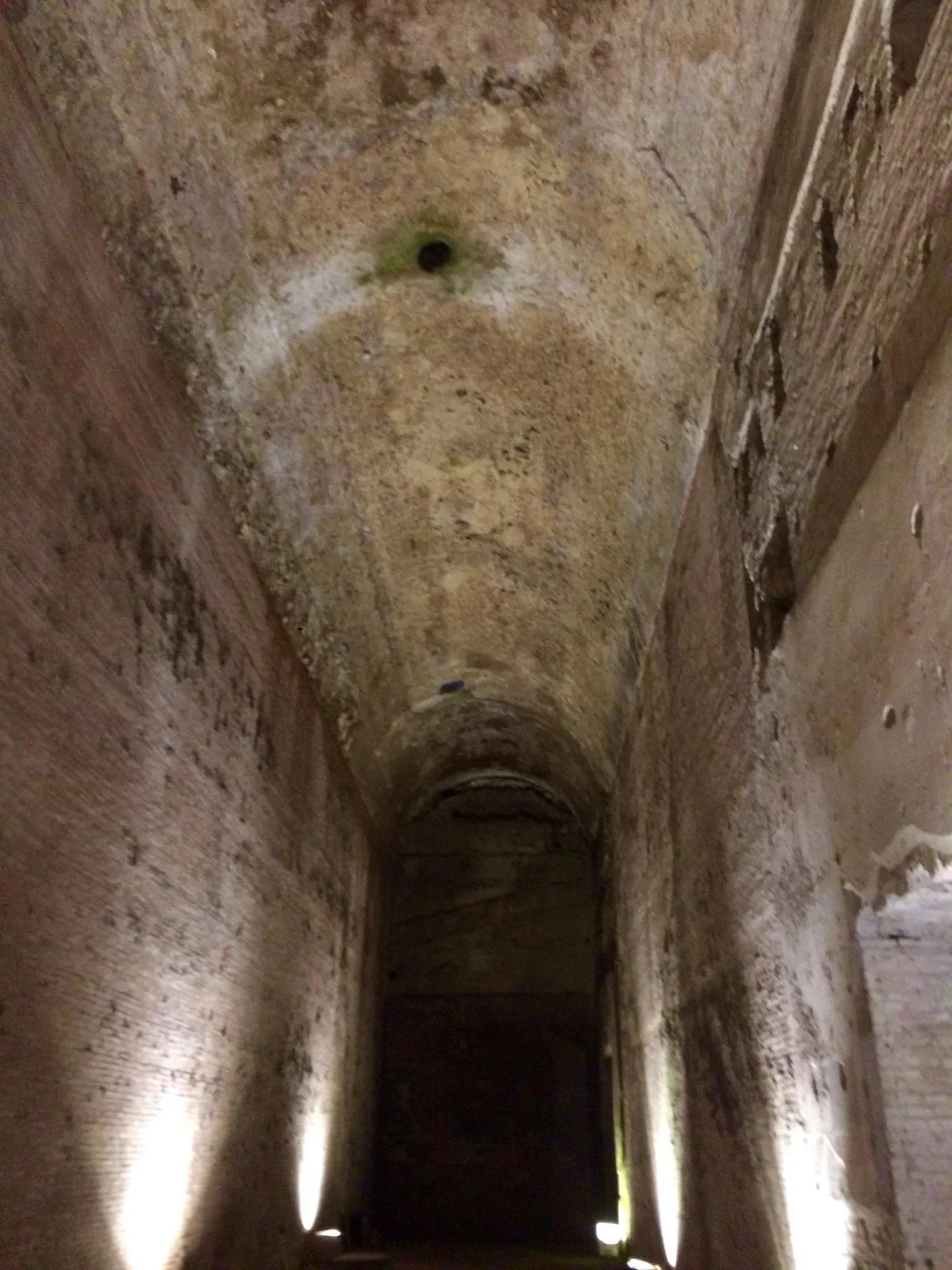 Domus Aurea