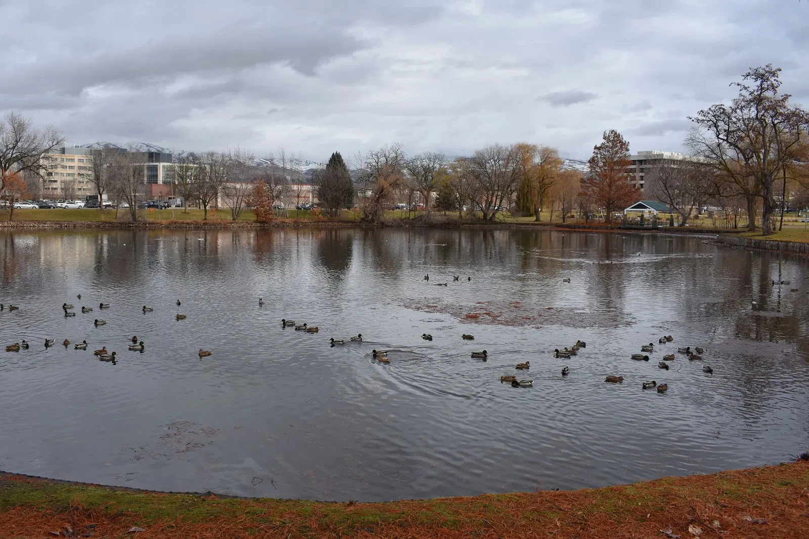 Idaho Black History Museum
