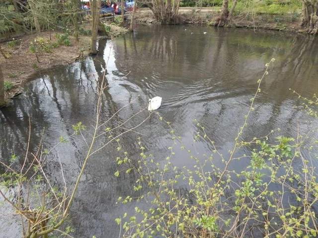 Colchester Zoological Society