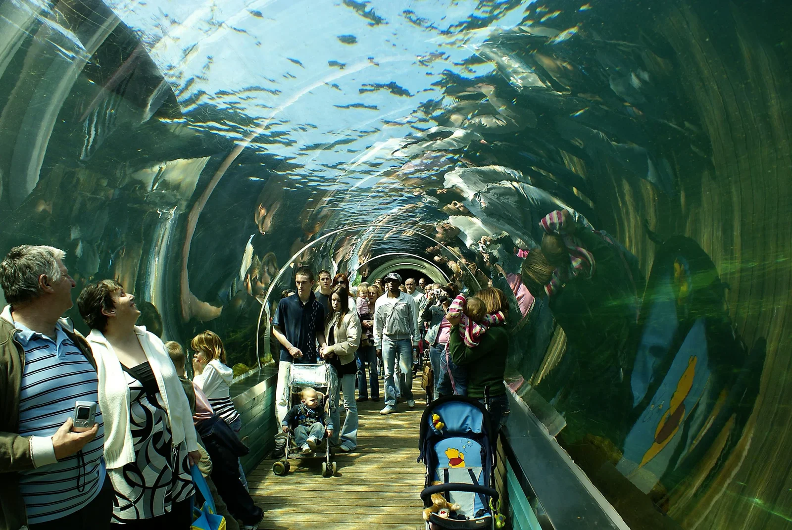 Colchester Zoological Society
