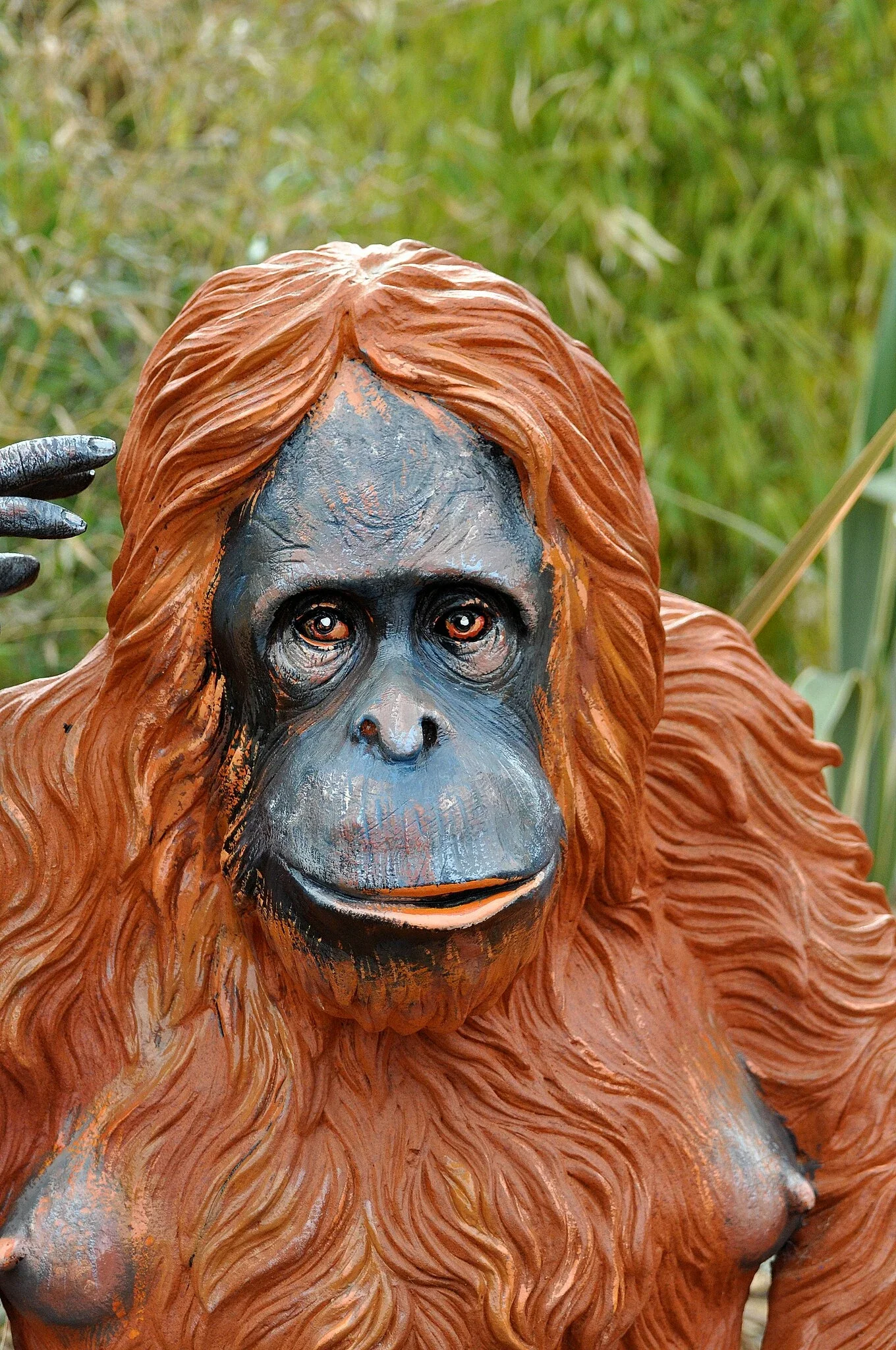 Colchester Zoological Society