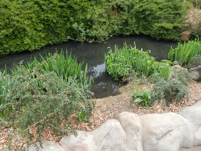 Colchester Zoological Society