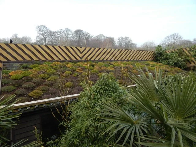 Colchester Zoological Society