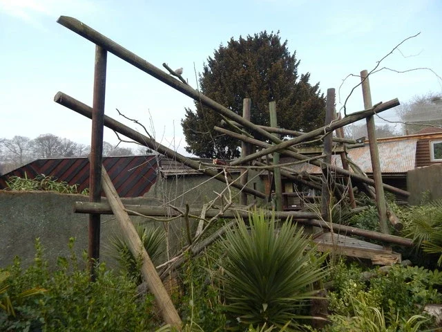 Colchester Zoological Society