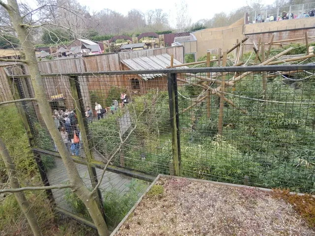 Colchester Zoo