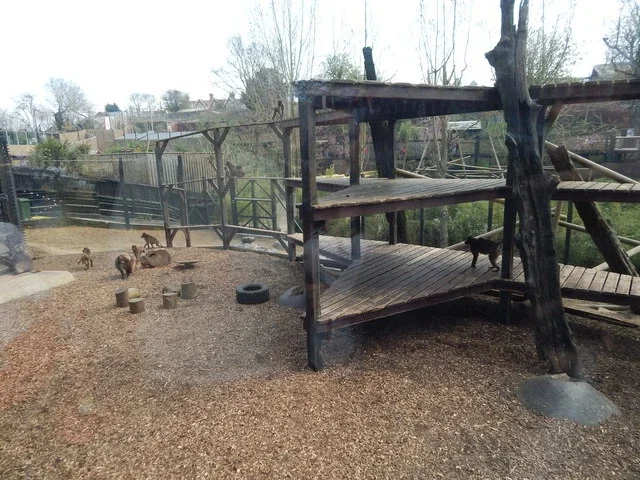 Colchester Zoological Society