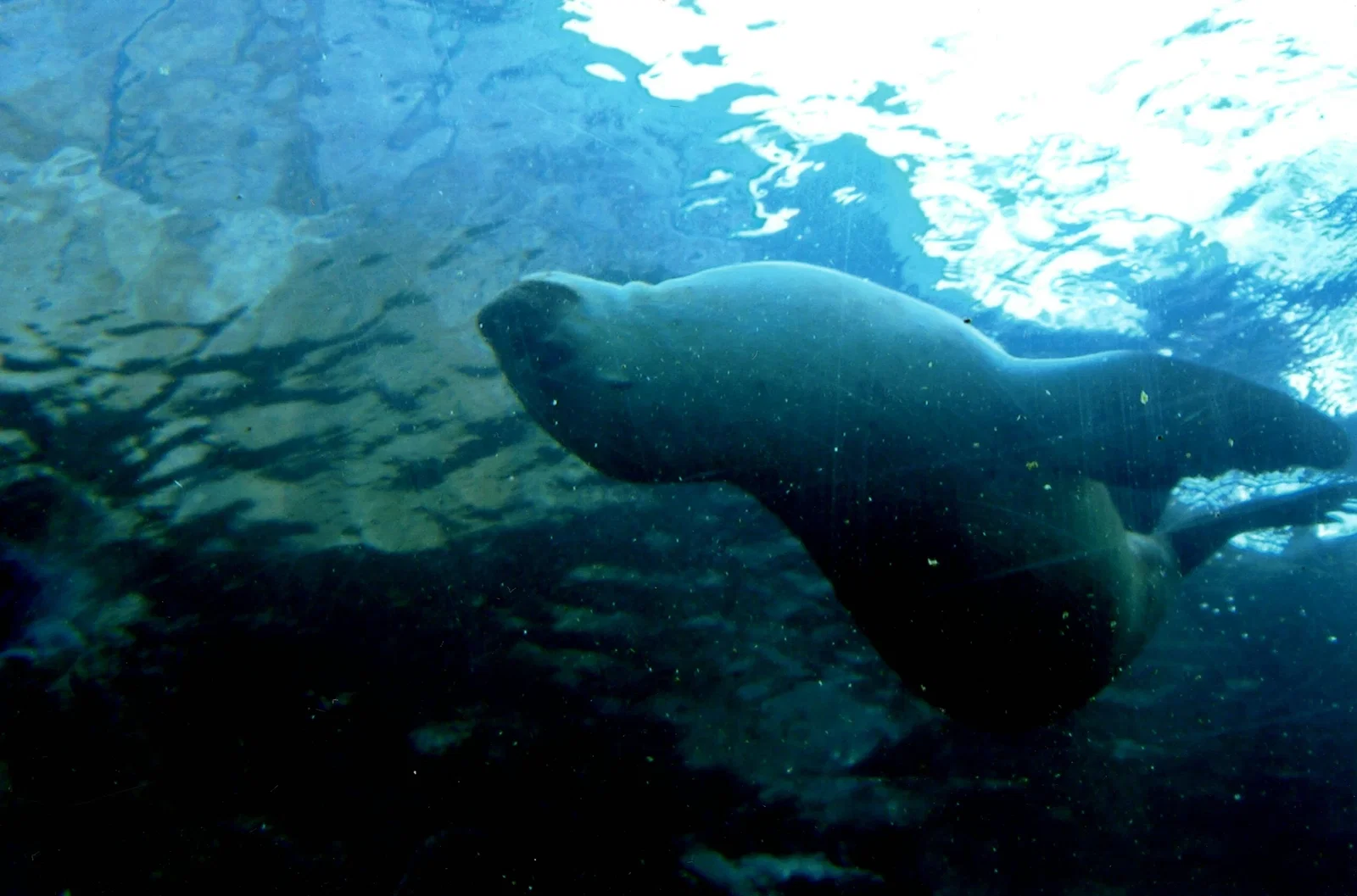 Colchester Zoological Society