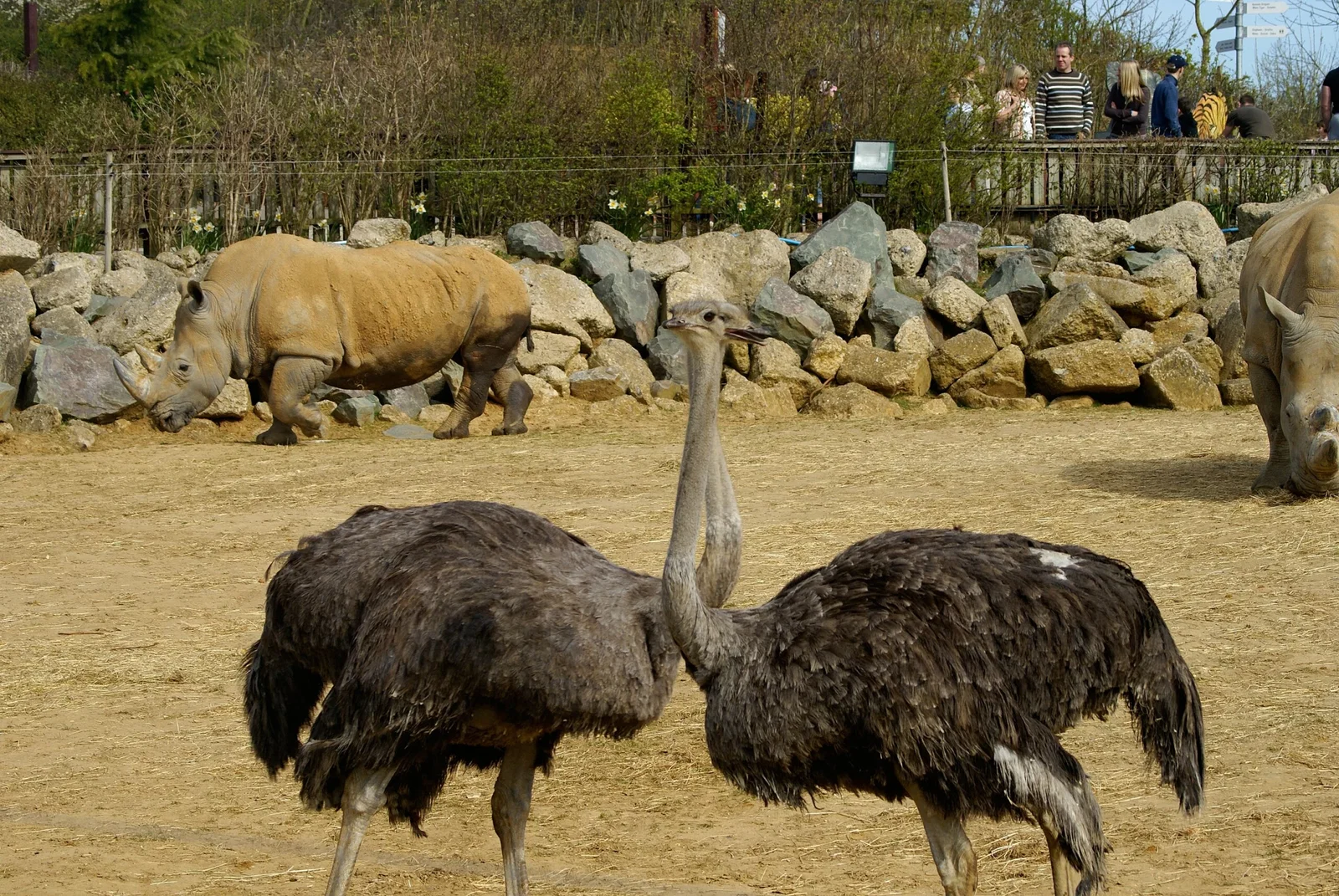 Colchester Zoological Society