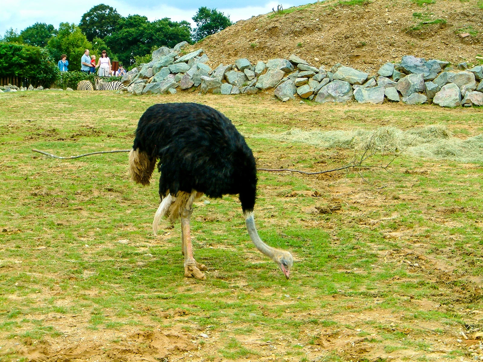 Colchester Zoological Society