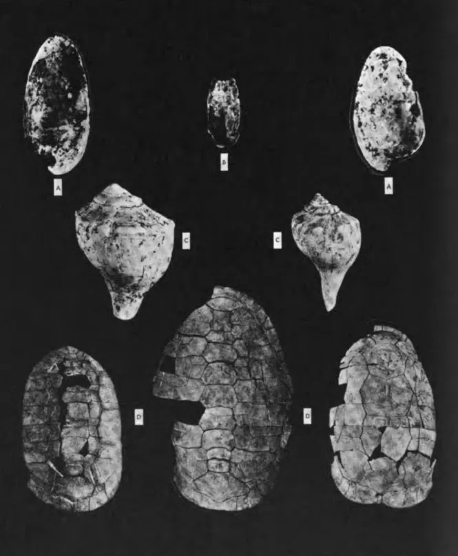 Grand Rapids Public Museum