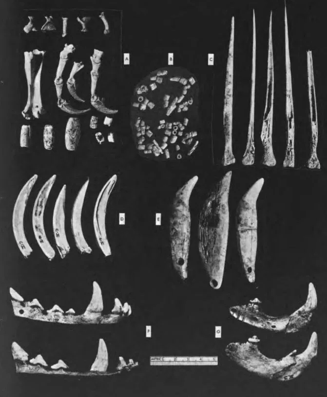 Grand Rapids Public Museum