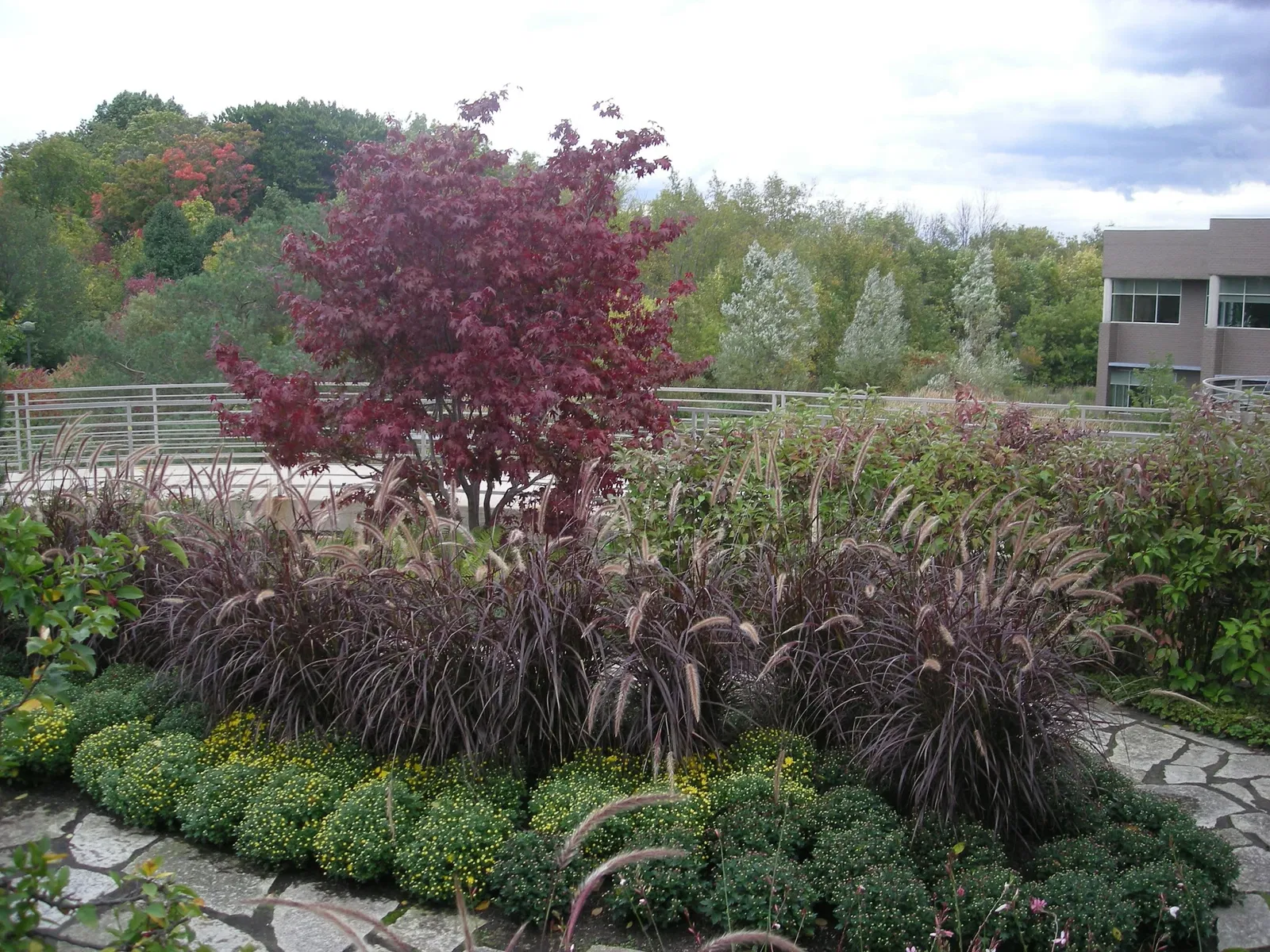 Frederik Meijer Gardens and Sculpture Park