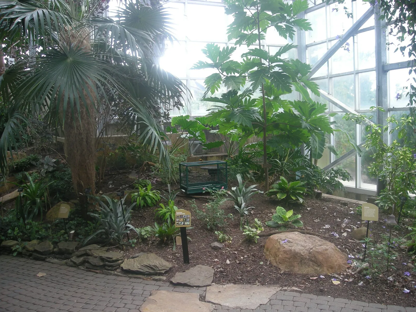 Frederik Meijer Gardens and Sculpture Park