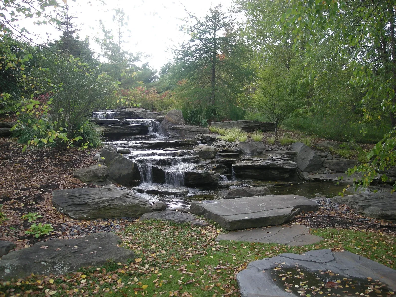 Frederik Meijer Gardens and Sculpture Park