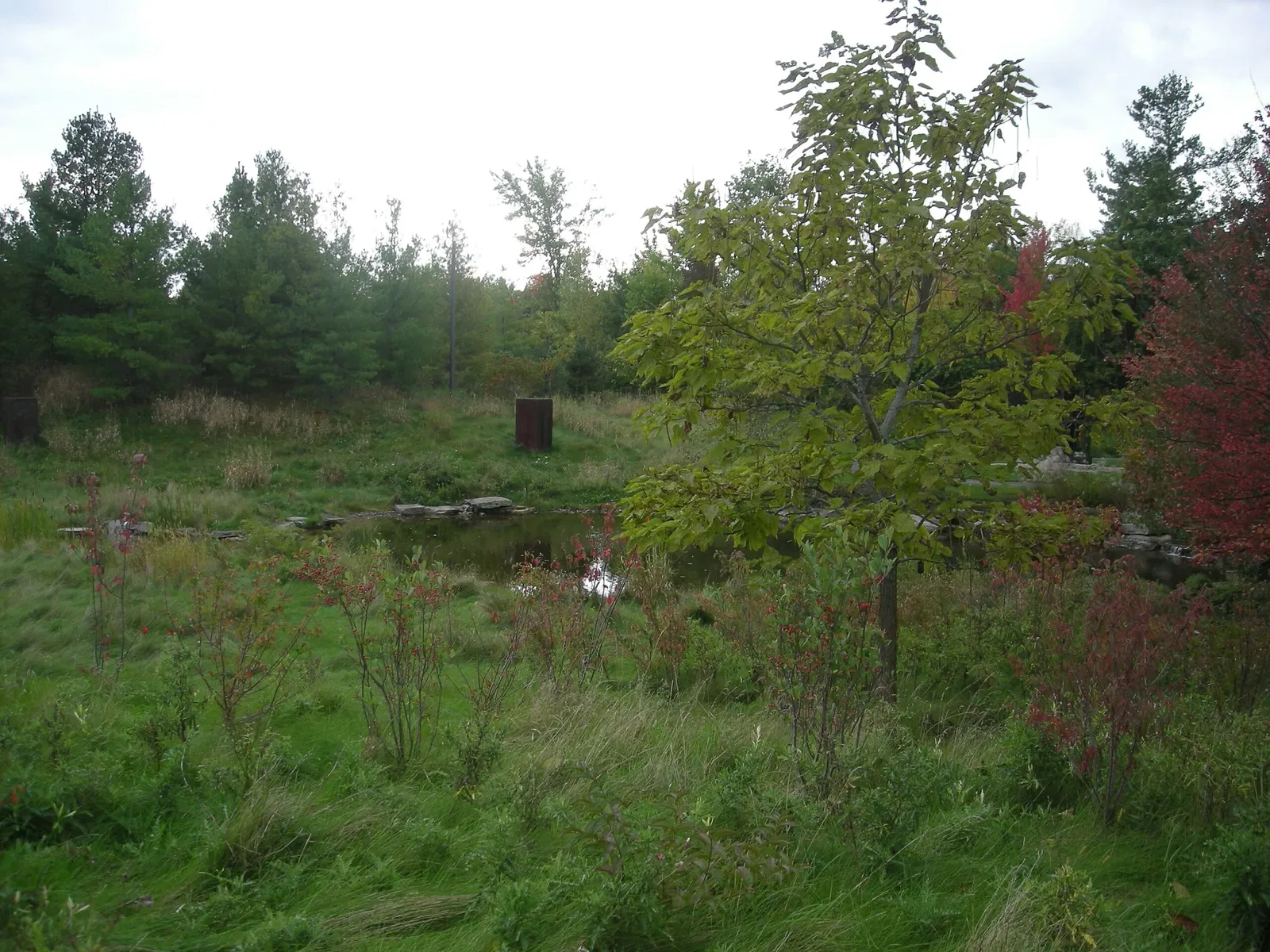 Frederik Meijer Gardens and Sculpture Park
