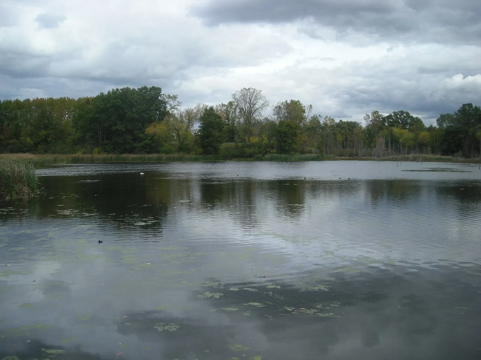 Frederik Meijer Gardens and Sculpture Park