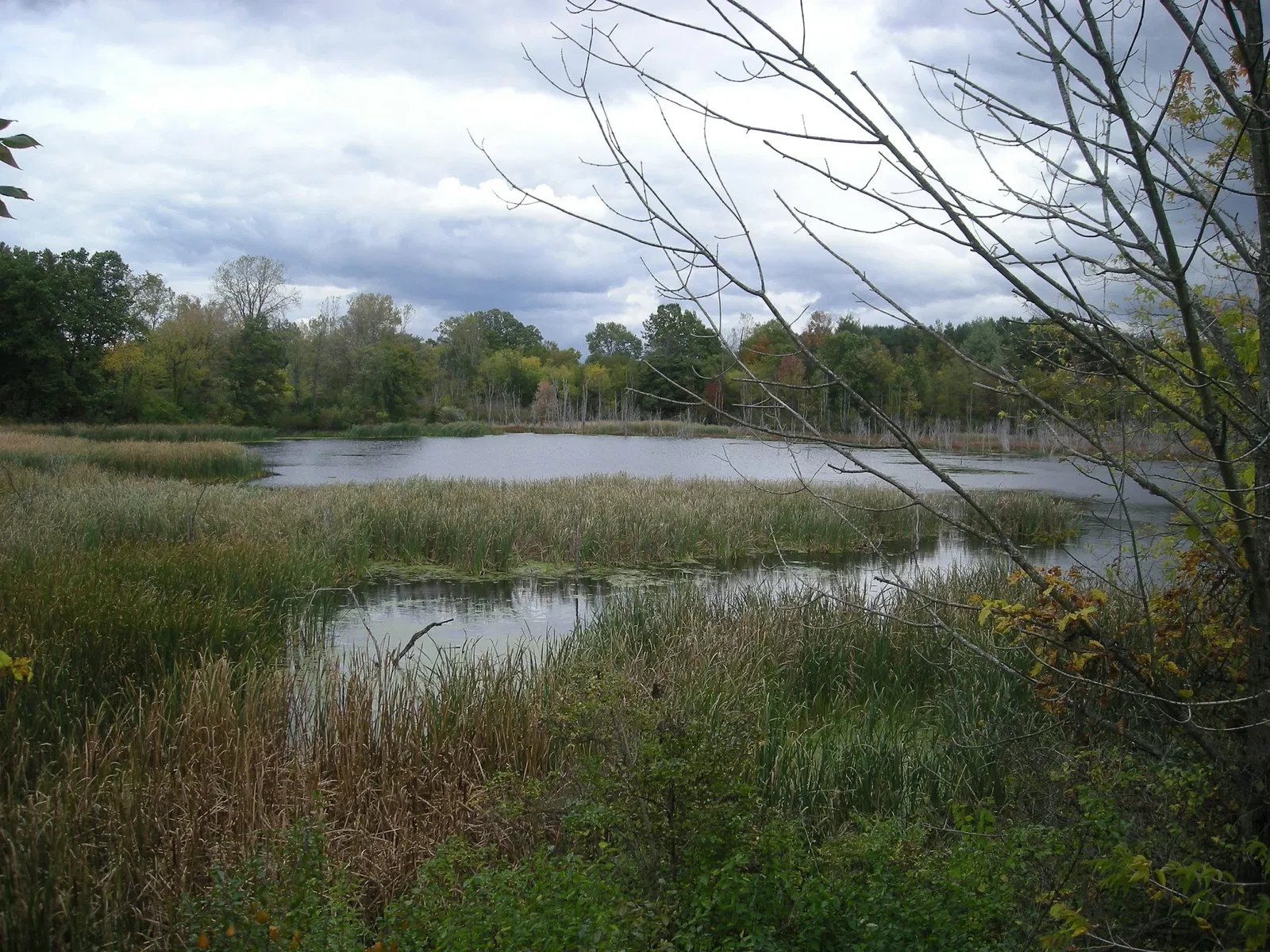 Frederik Meijer Gardens and Sculpture Park