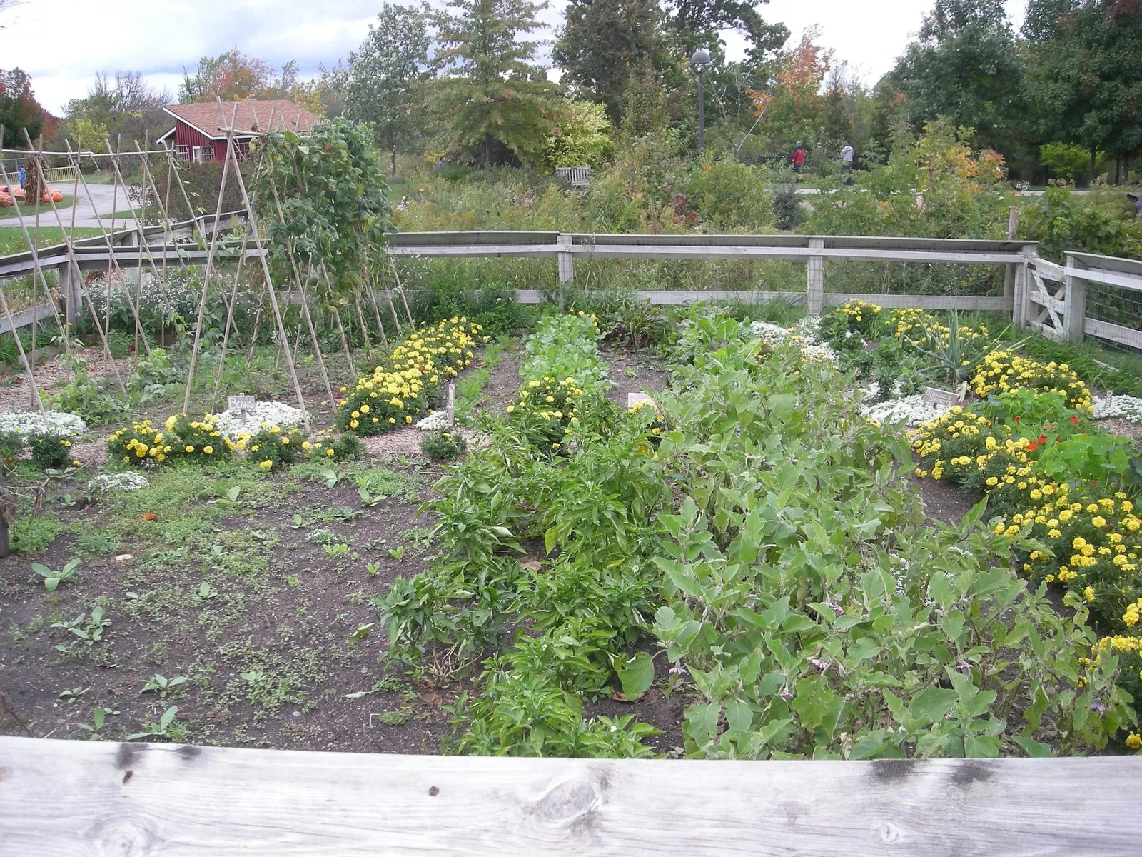 Frederik Meijer Gardens and Sculpture Park