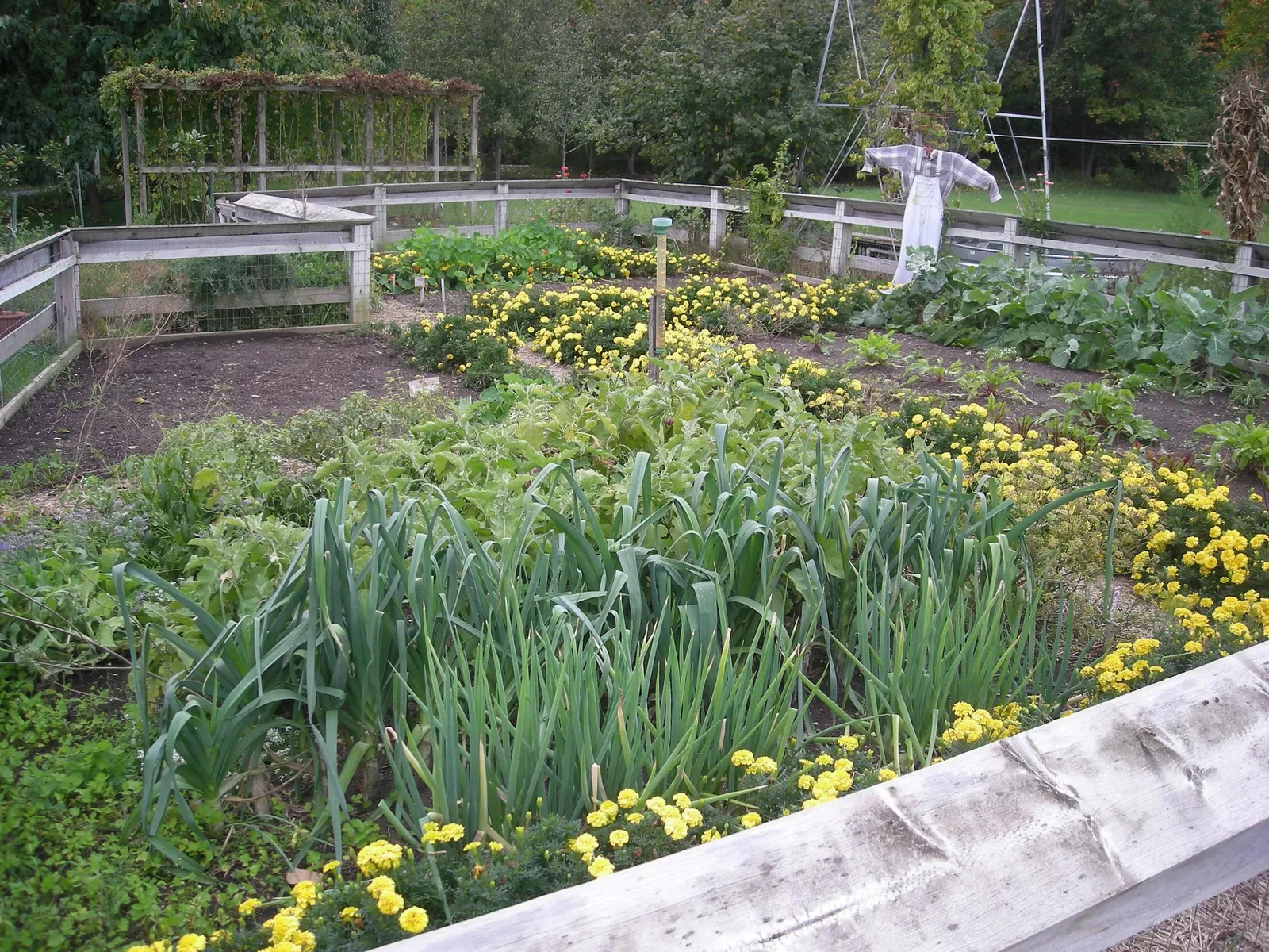 Frederik Meijer Gardens and Sculpture Park