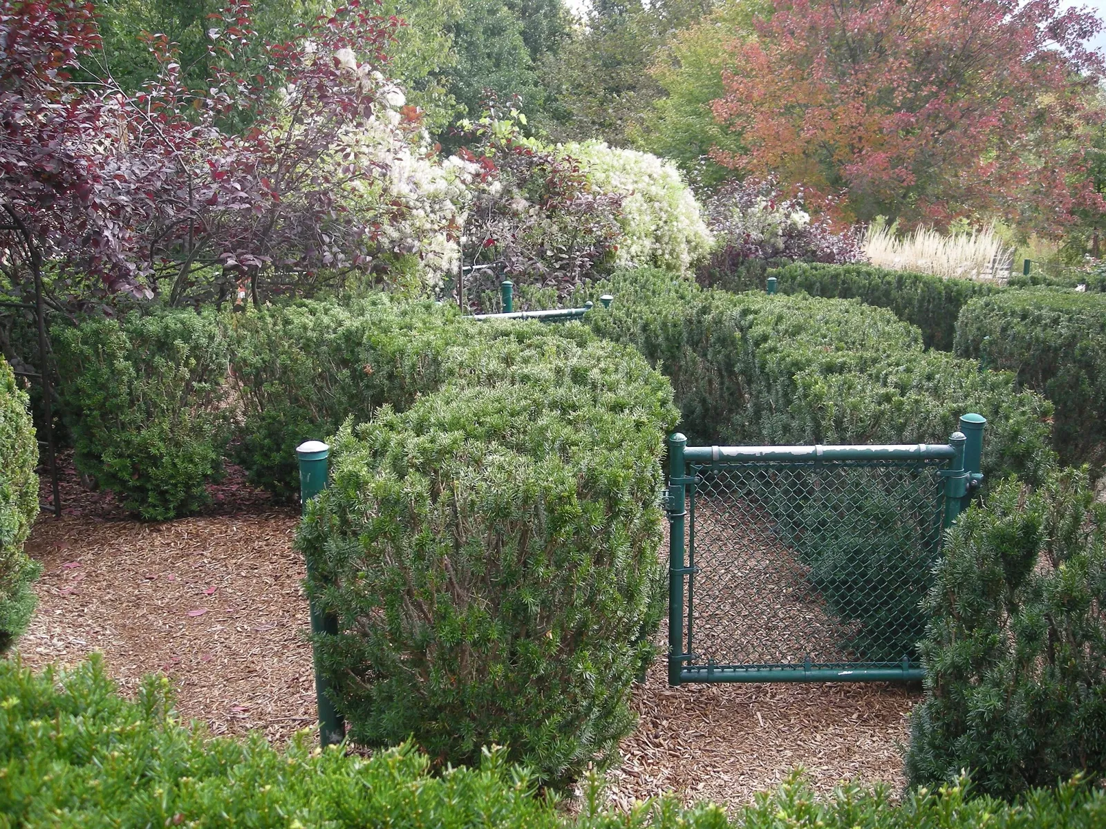 Frederik Meijer Gardens and Sculpture Park