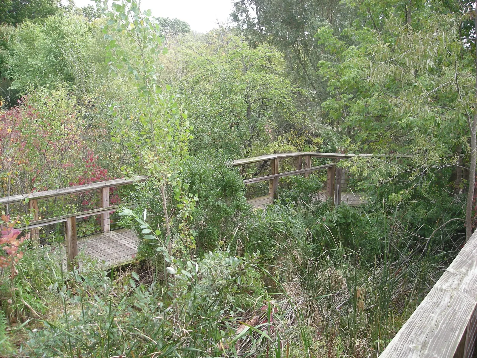 Frederik Meijer Gardens and Sculpture Park