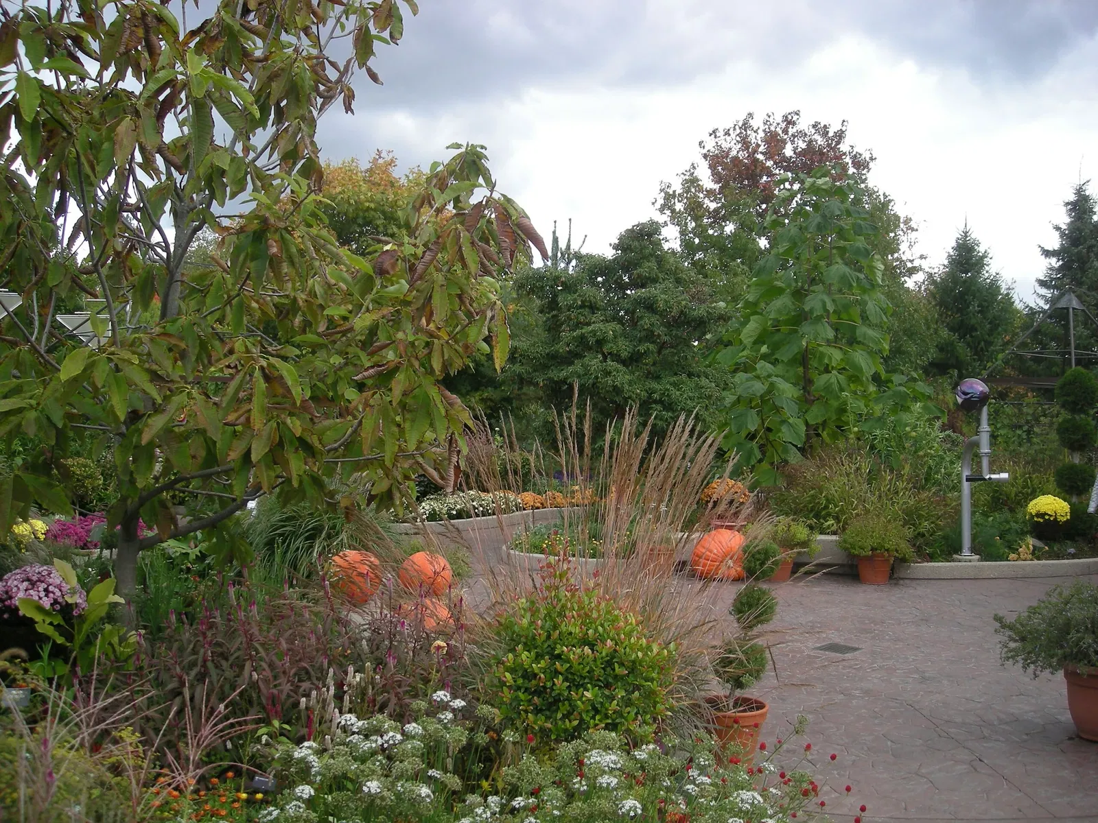 Frederik Meijer Gardens and Sculpture Park