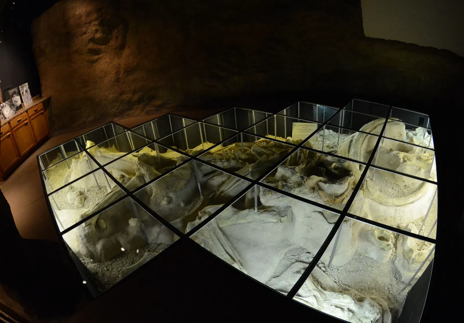 Waco Mammoth National Monument