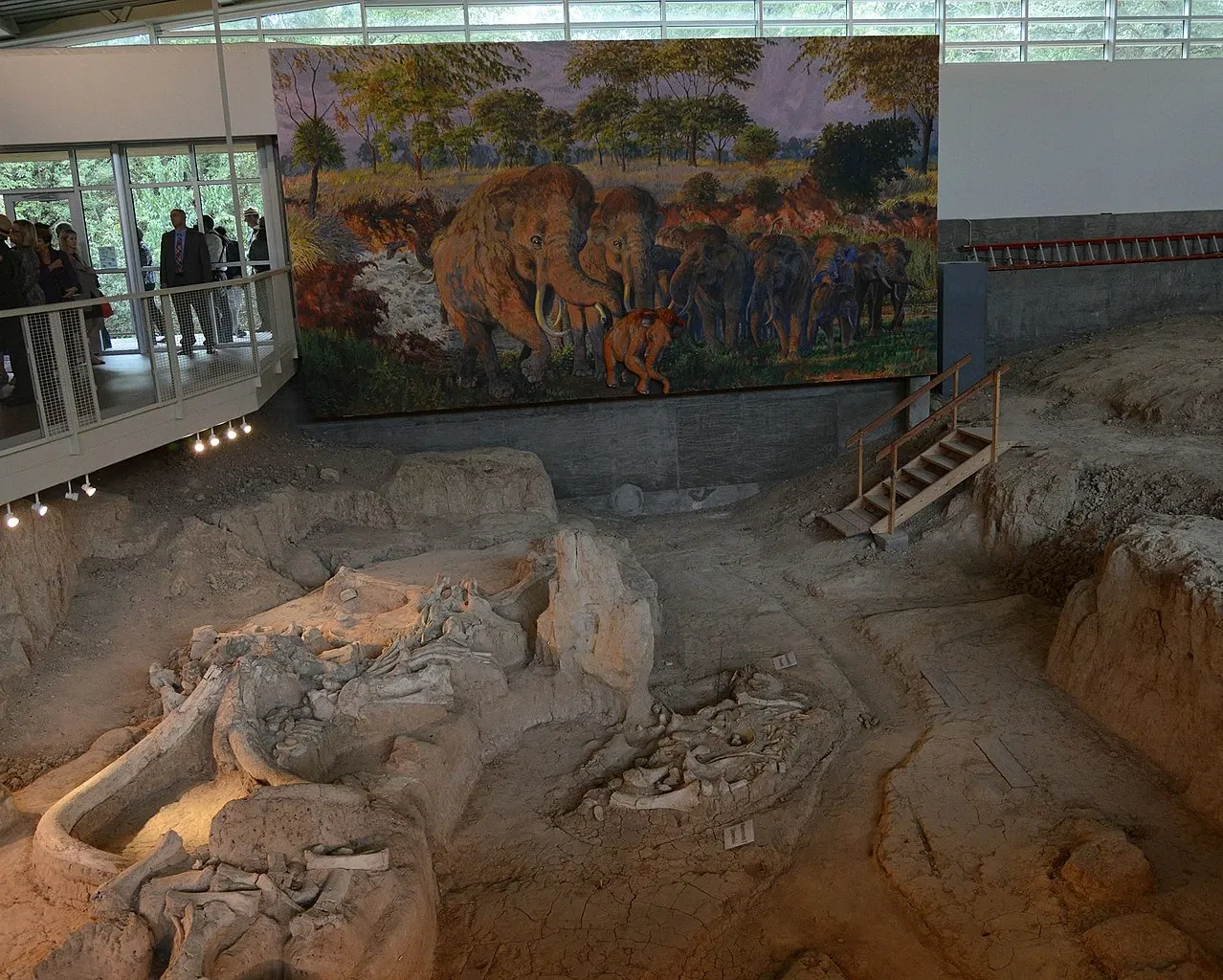 Waco Mammoth National Monument