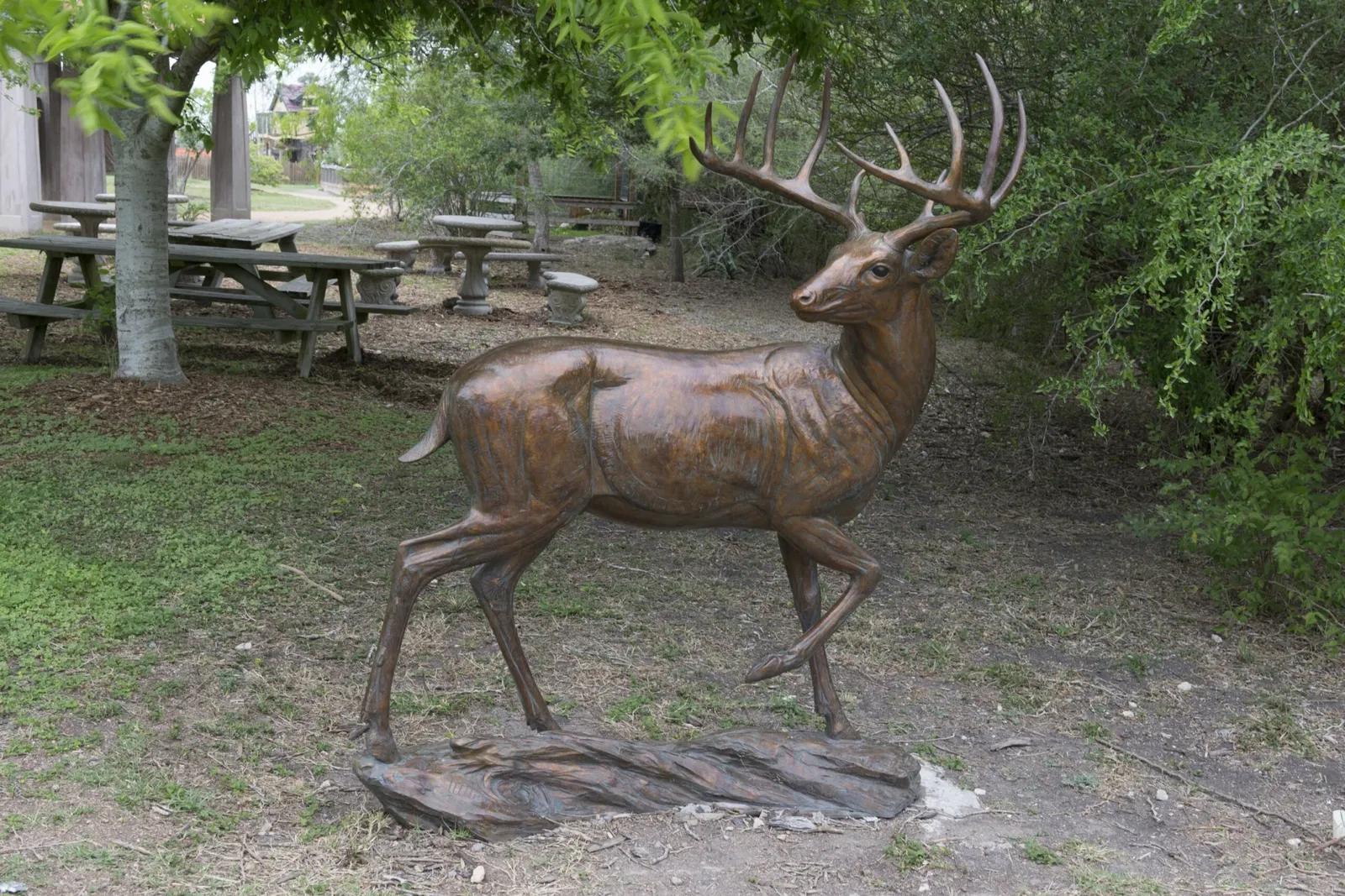 South Texas Botanical Gardens & Nature Center