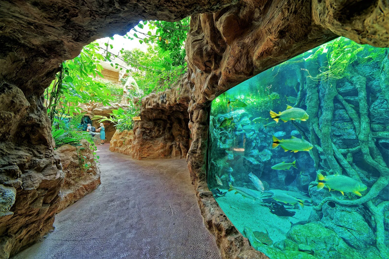 Poem of the Sea - Aquarium Gran Canaria