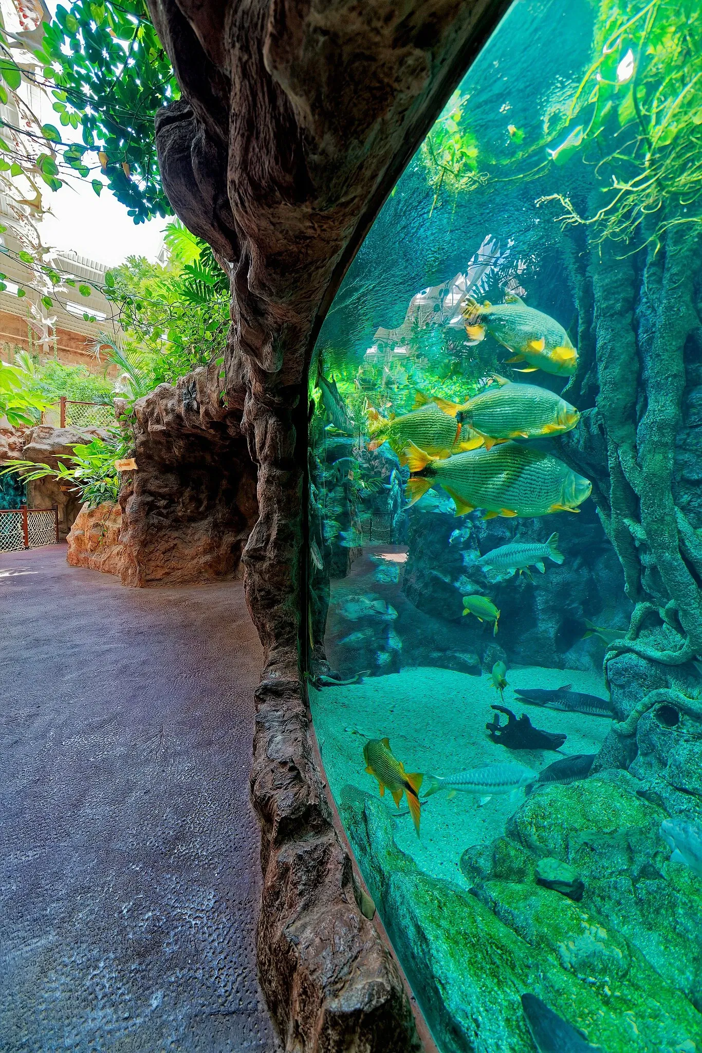 Poem of the Sea - Aquarium Gran Canaria