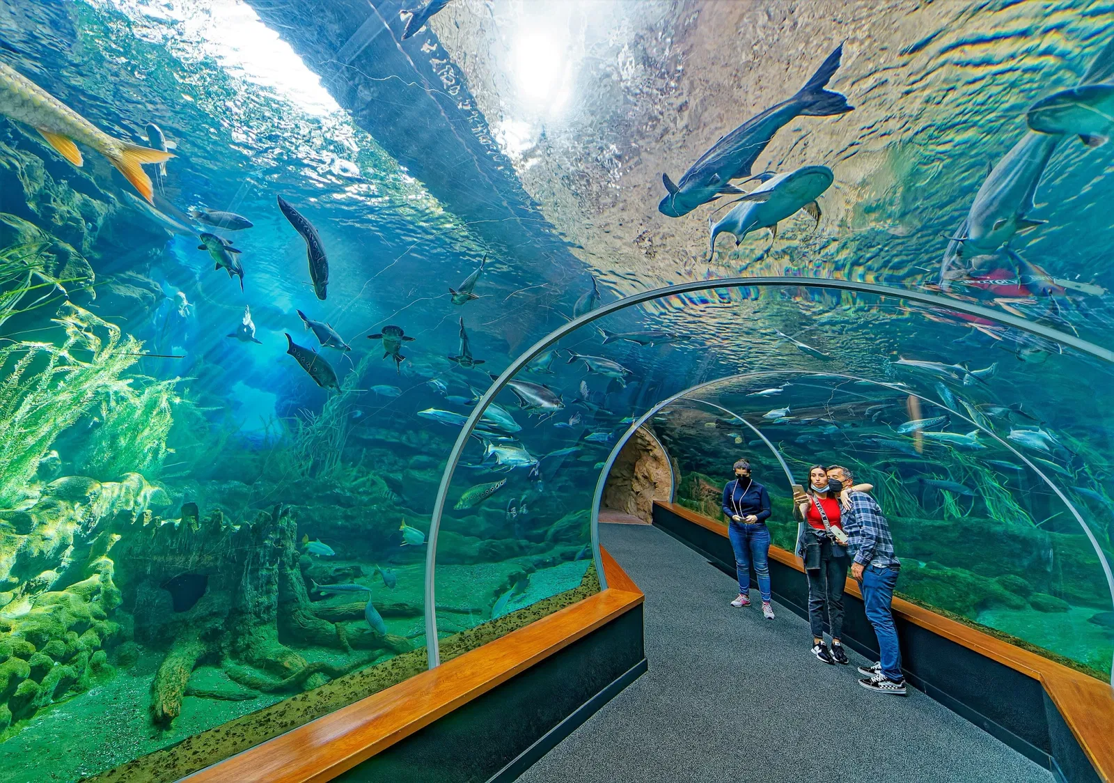 Poem of the Sea - Aquarium Gran Canaria