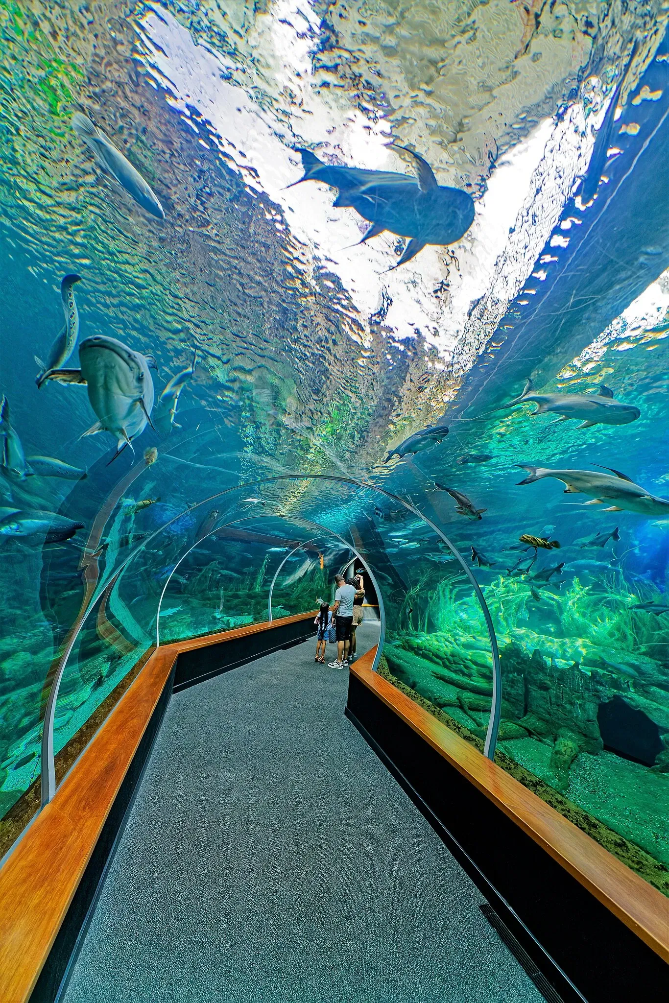 Poem of the Sea - Aquarium Gran Canaria