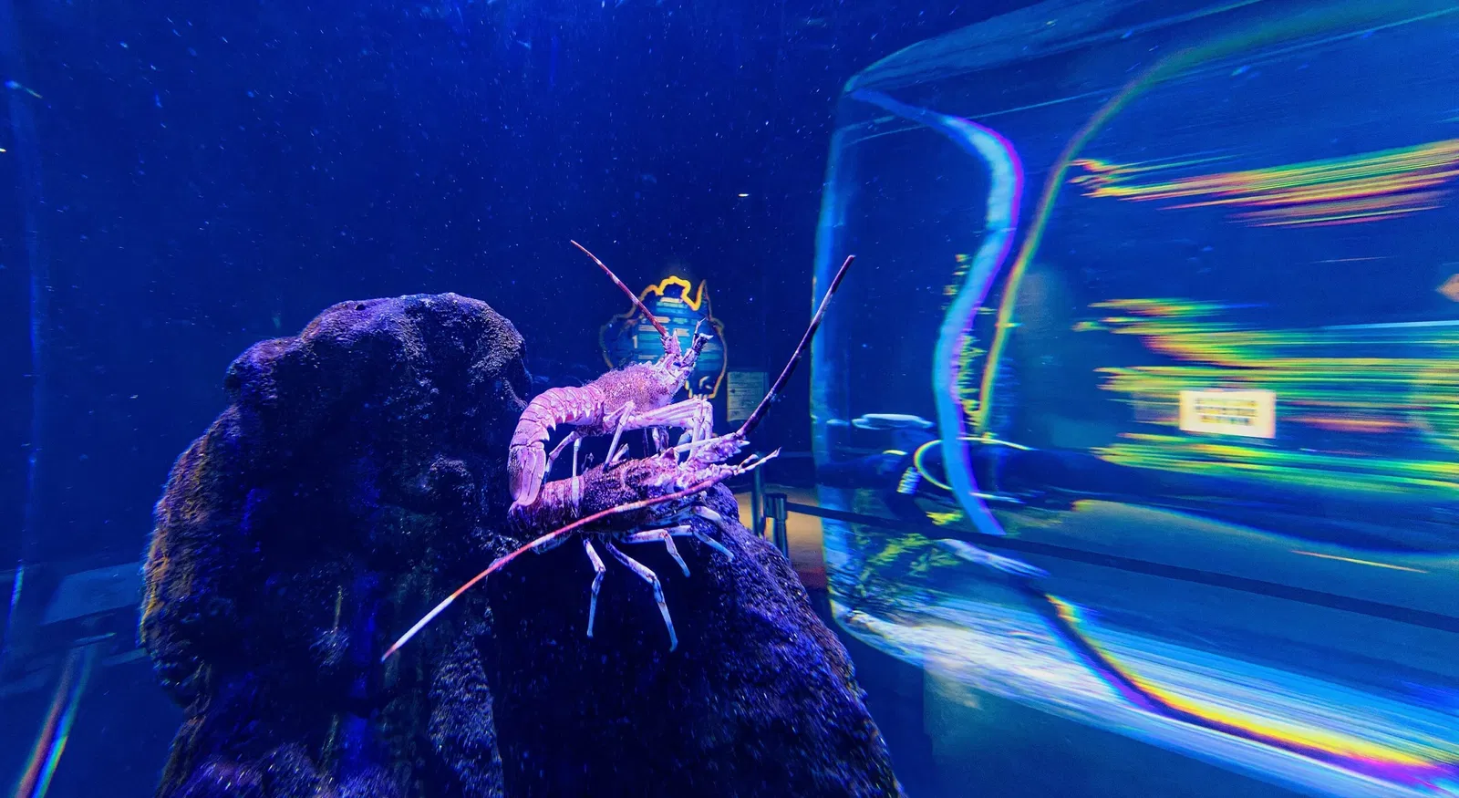 Poema del Mar Aquarium