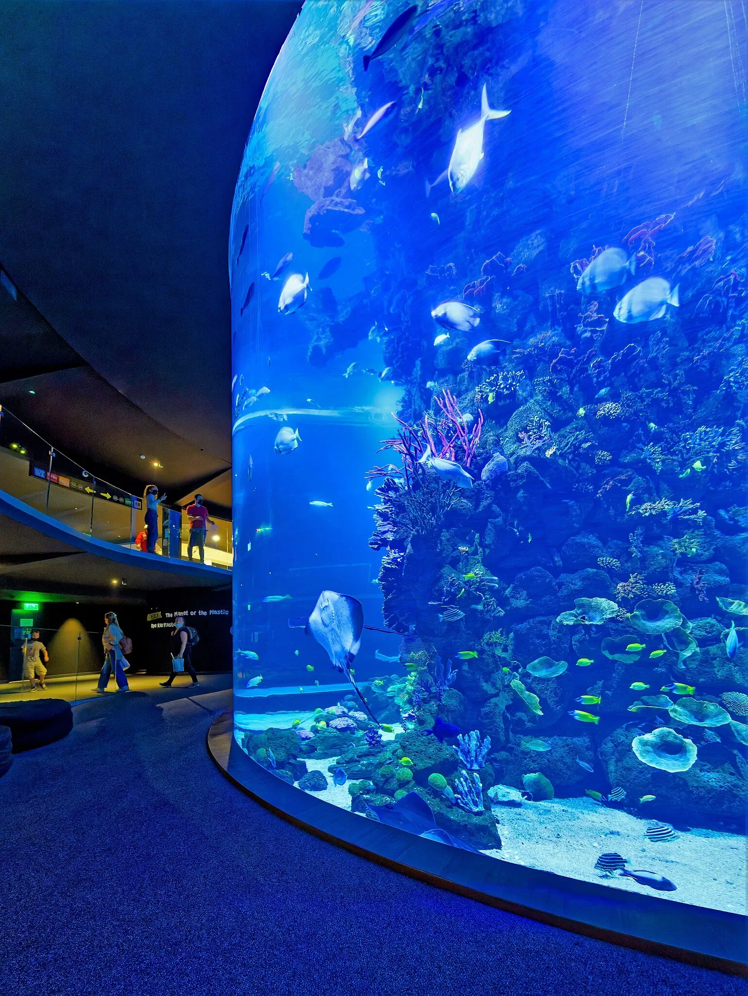 Poem of the Sea - Aquarium Gran Canaria