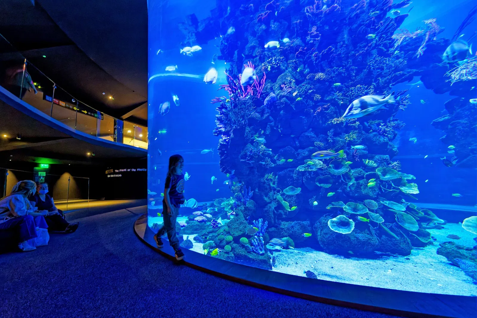 Poema del Mar Aquarium