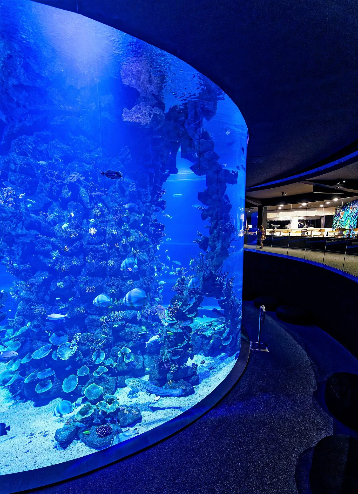 Poem of the Sea - Aquarium Gran Canaria