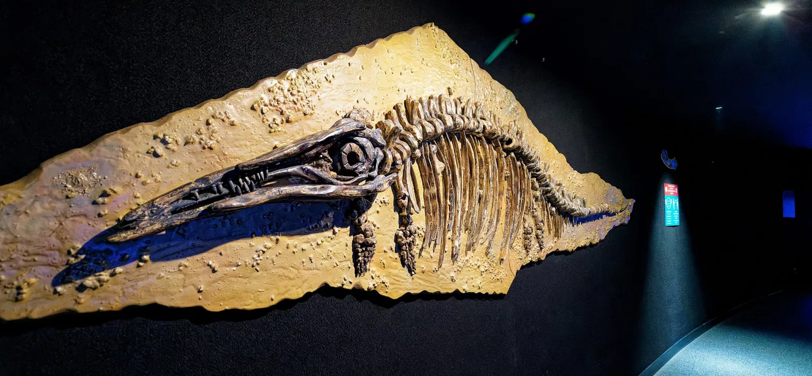 Poema del Mar - Aquarium Gran Canaria