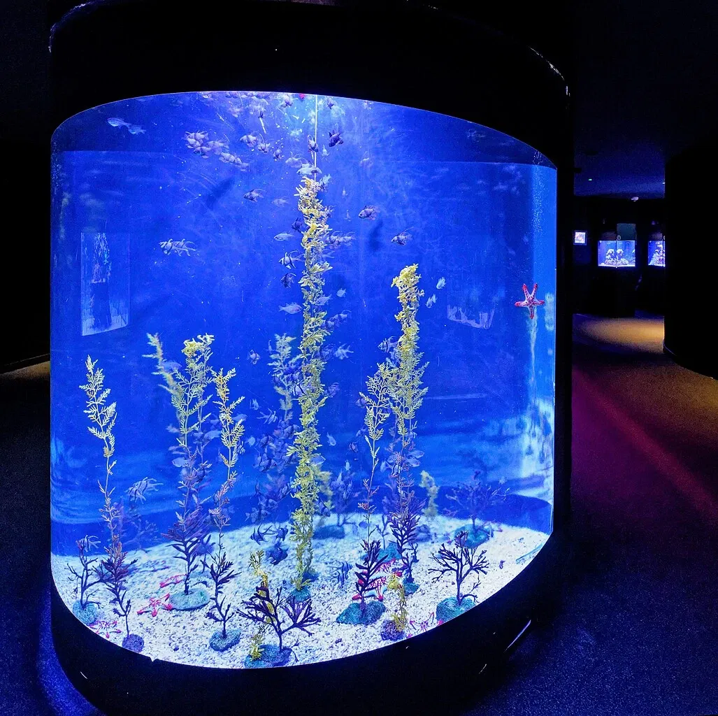 Poema del Mar Aquarium