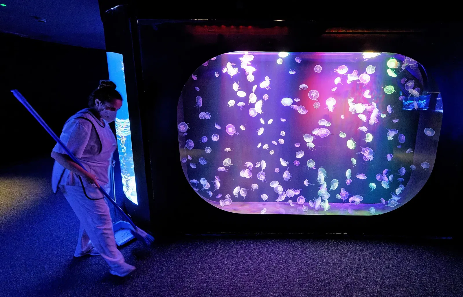 Poema del Mar - Aquarium Gran Canaria