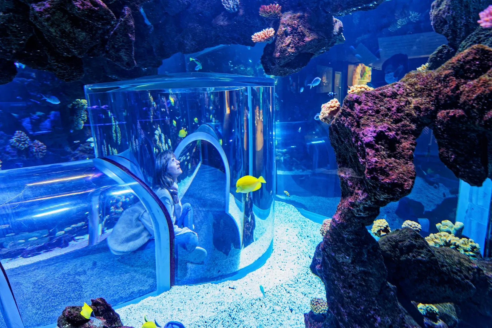 Poema del Mar Aquarium