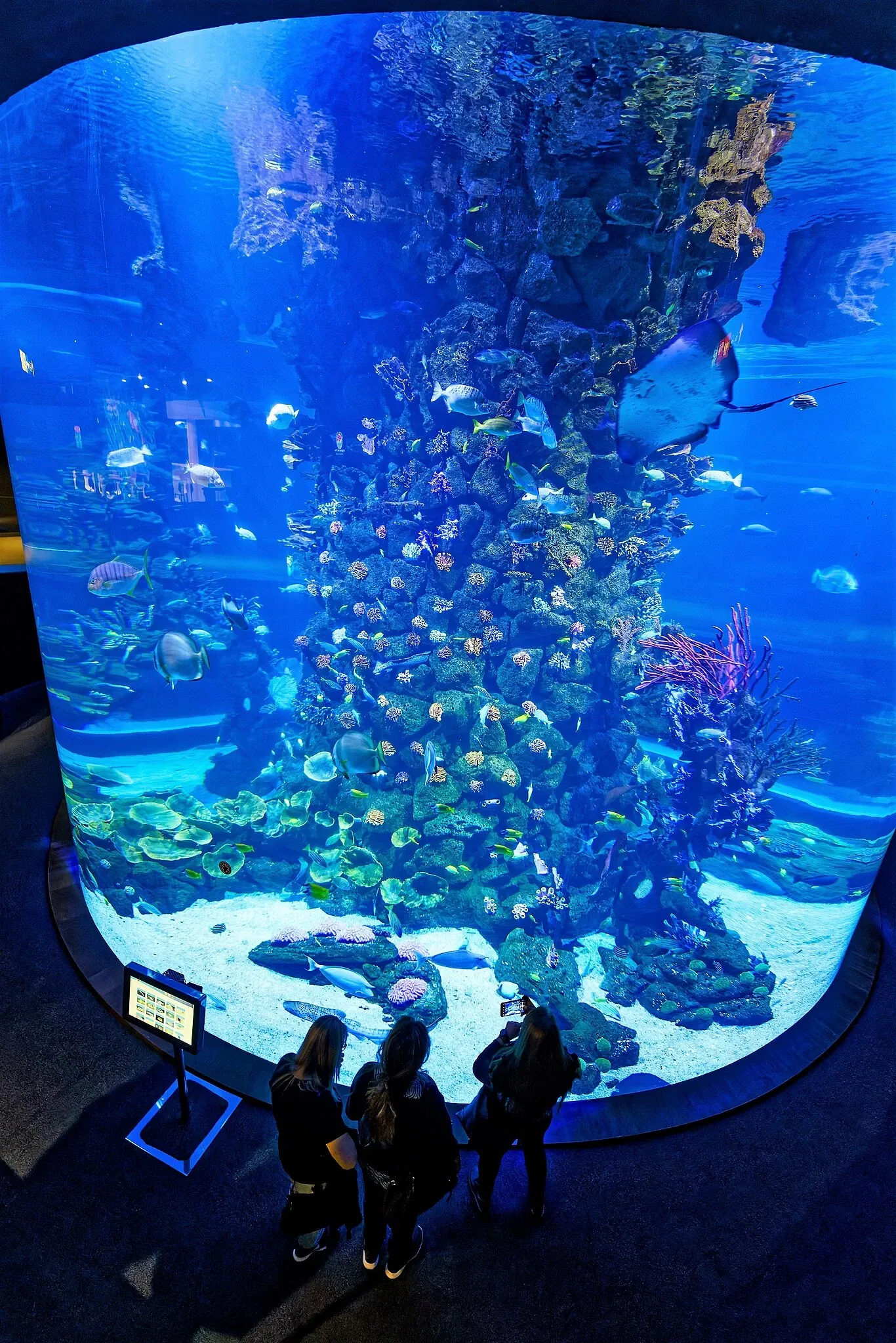 Poema del Mar - Aquarium Gran Canaria