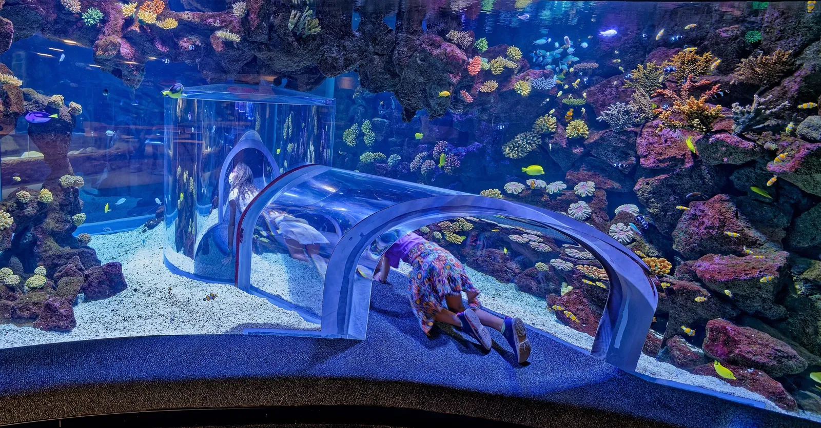 Poema del Mar - Aquarium Gran Canaria