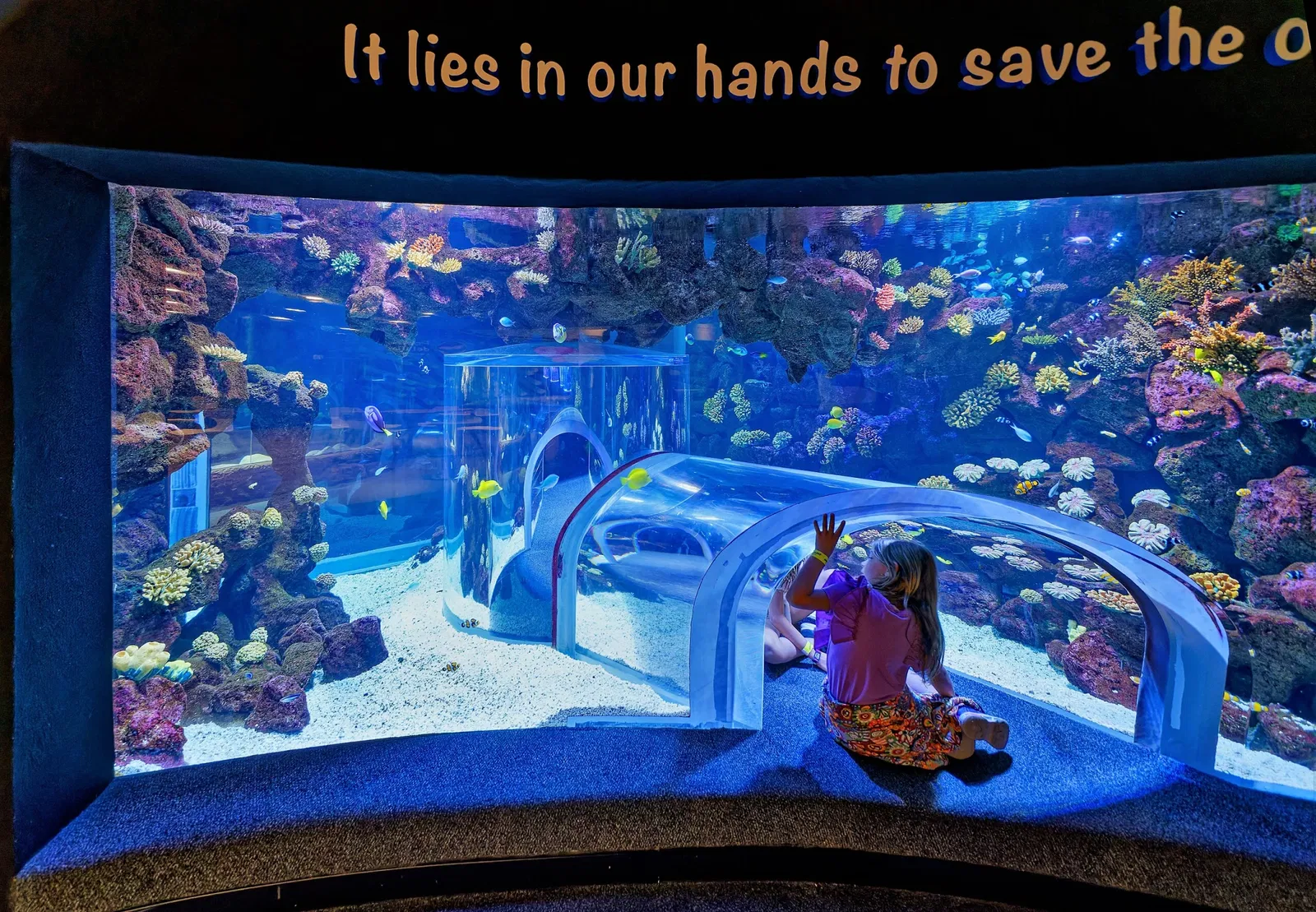 Poem of the Sea - Aquarium Gran Canaria