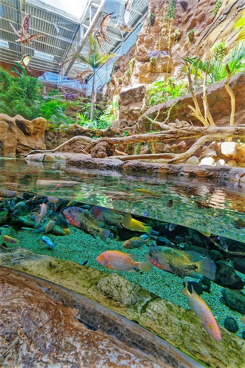 Poem of the Sea - Aquarium Gran Canaria