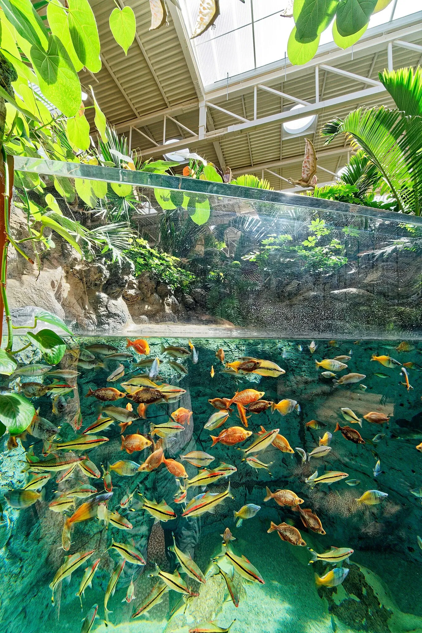 Poema del Mar Aquarium