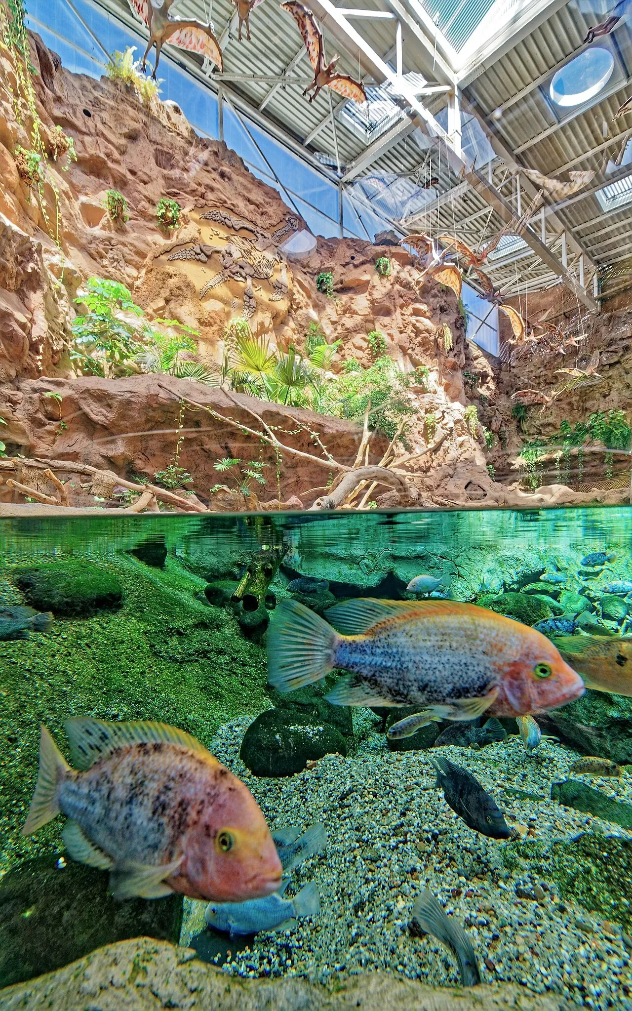 Poema del Mar Aquarium