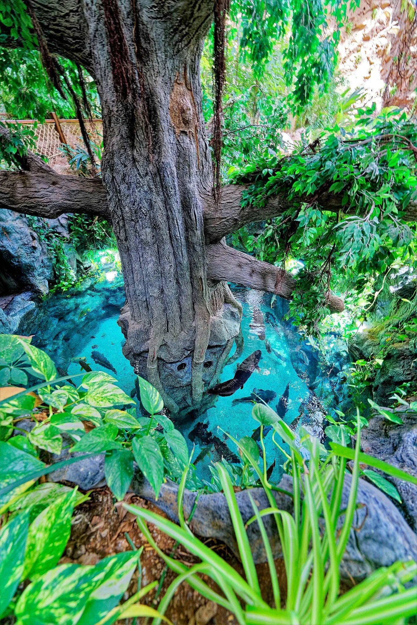 Poema del Mar Aquarium
